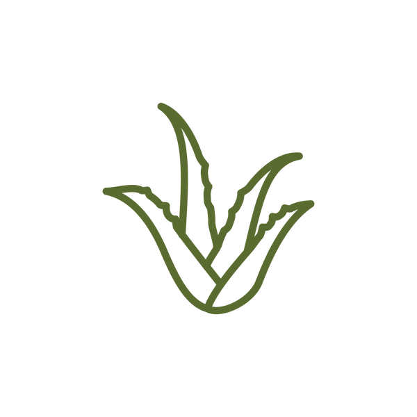 ALOEVERA