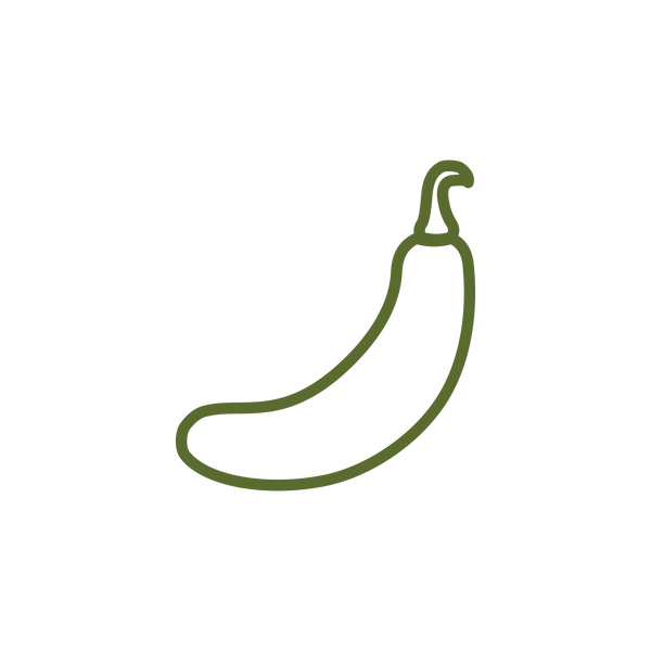 BOTTLE GOURD