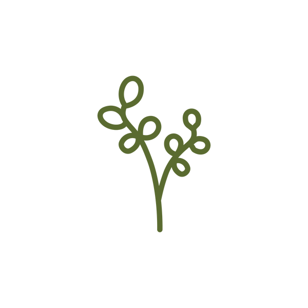 BRAHMI