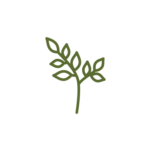 FENUGREEK