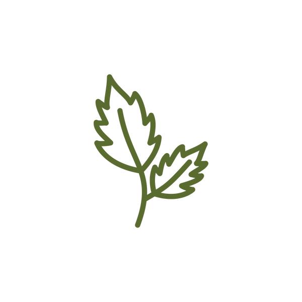 NEEM